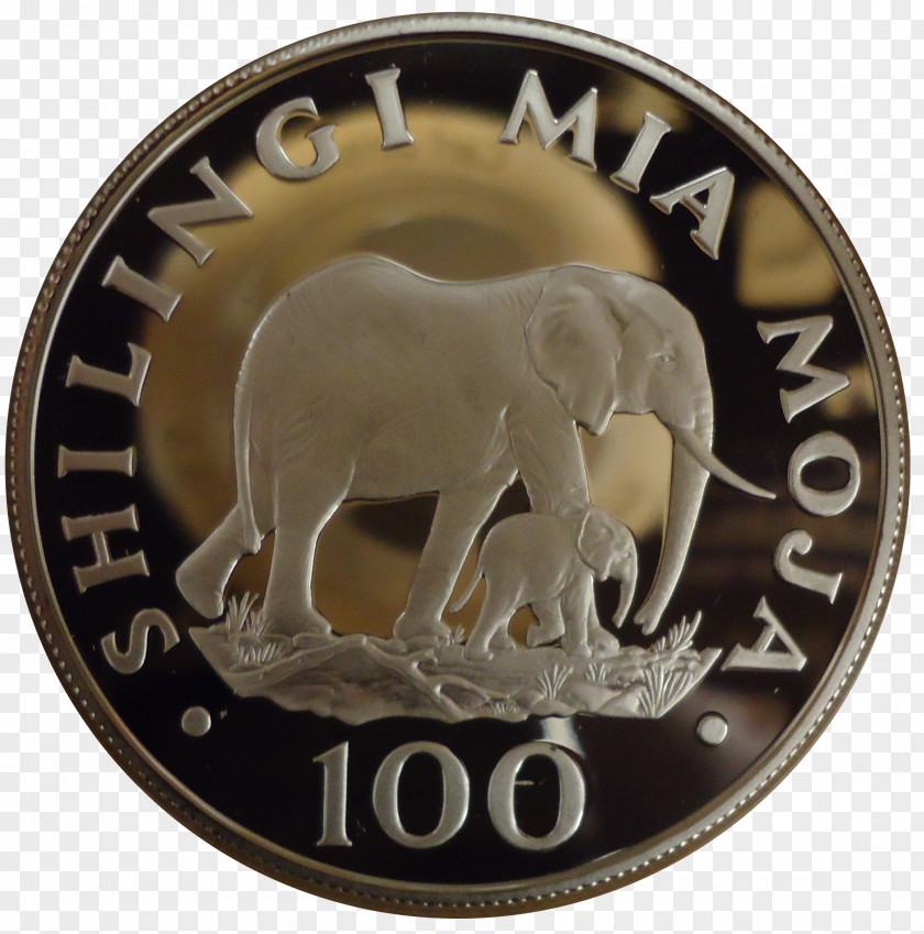 Elephant Coin Silver Money Currency PNG