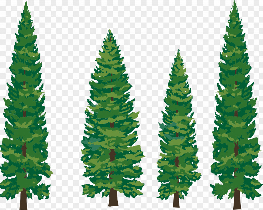 Pine Tree Illustration Fir Evergreen Clip Art PNG