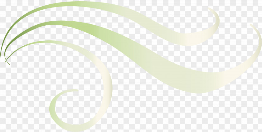 Floralelement Invertebrate Desktop Wallpaper Green PNG