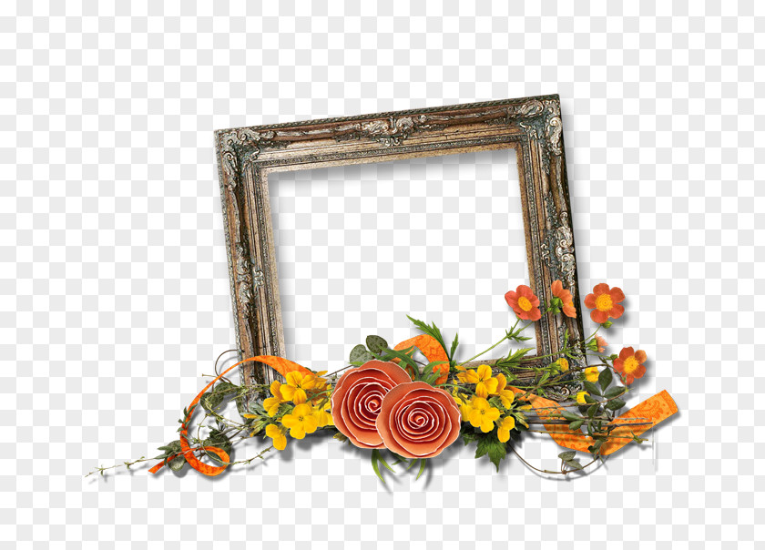 Flower Floral Design Picture Frames Cut Flowers PNG