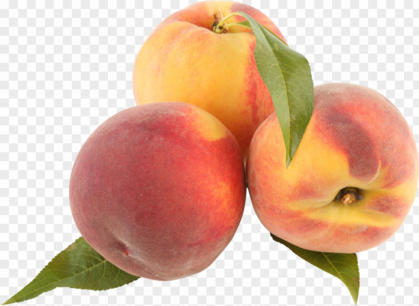 Peach Image Macaroon Nectarine Fruit PNG