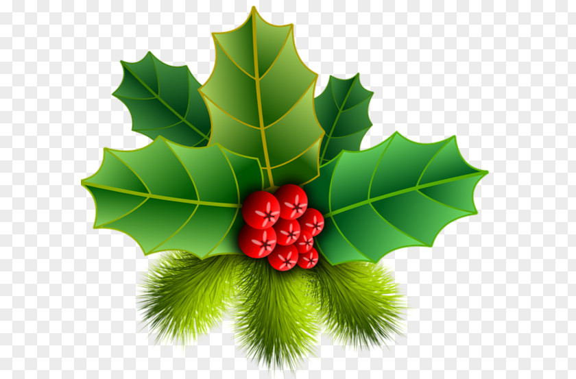 Plane American Holly Drawing Christmas Tree PNG