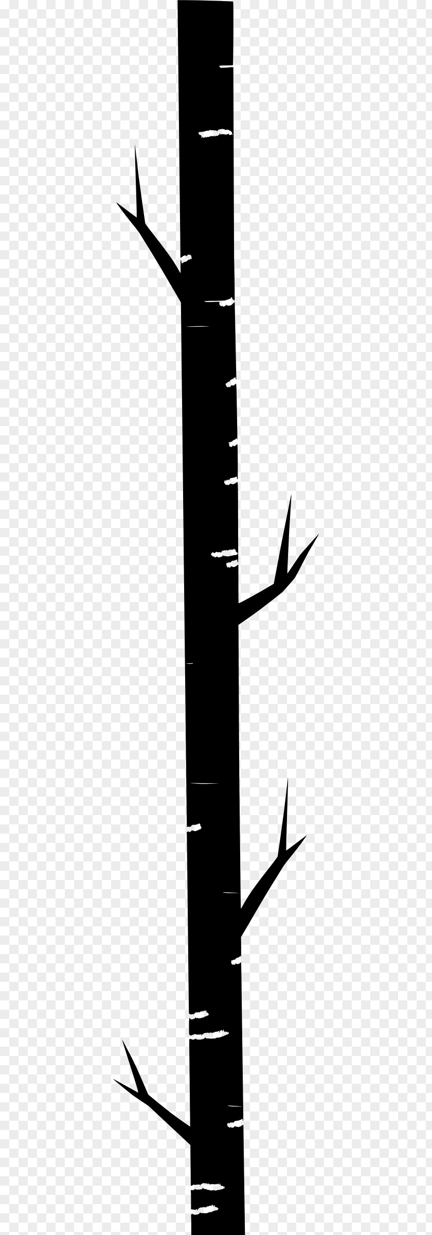 Tree Stem Trunk Clip Art PNG