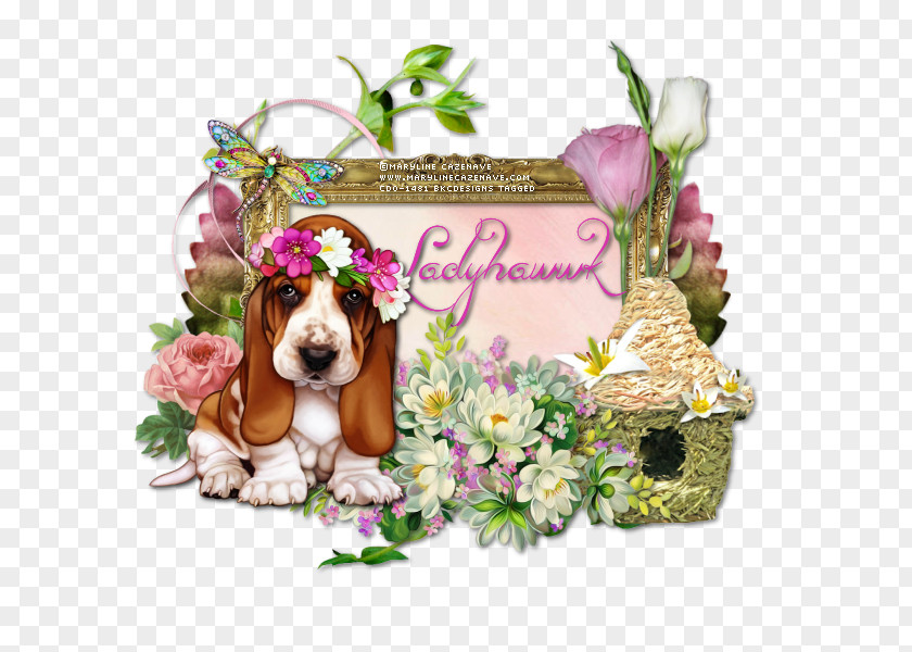 A Gentle Bargain To Send Gifts Puppy Floral Design Cut Flowers Dog Breed PNG