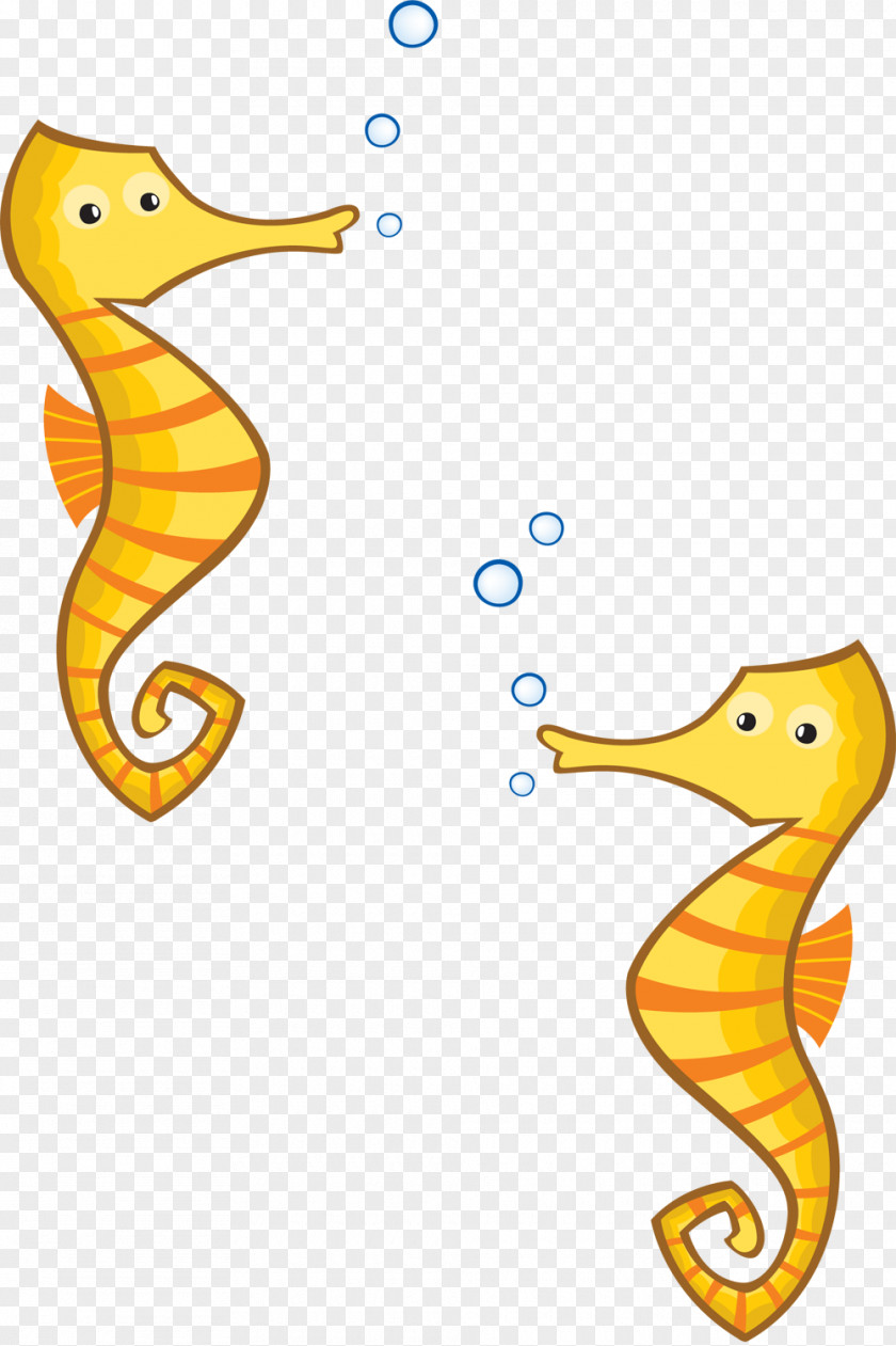 Carte Da Gioco Long-snouted Seahorse Pipefishes And Allies Clip Art PNG