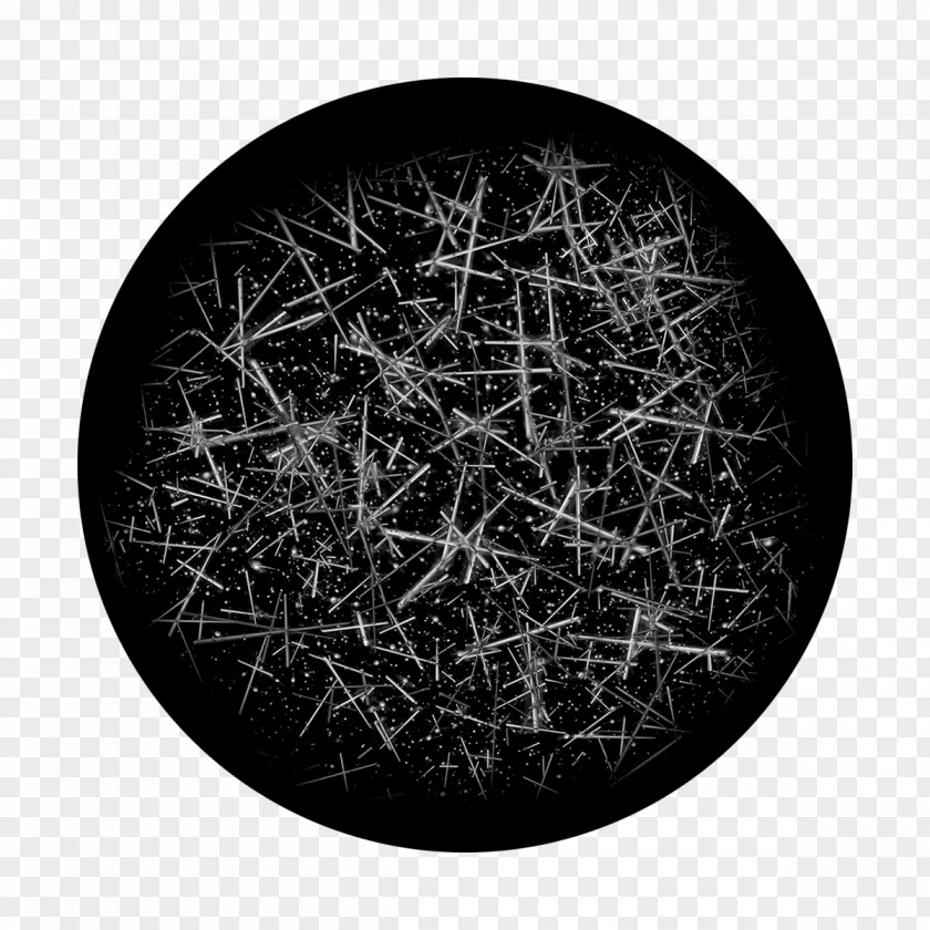 Drawing Plate Black Tree PNG