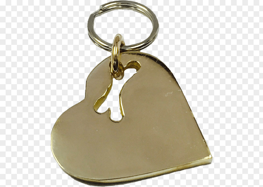 Silver Key Chains Bronze PNG