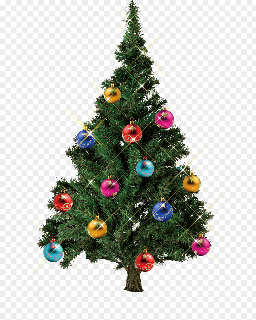 Christmas Tree Santa Claus Snow PNG