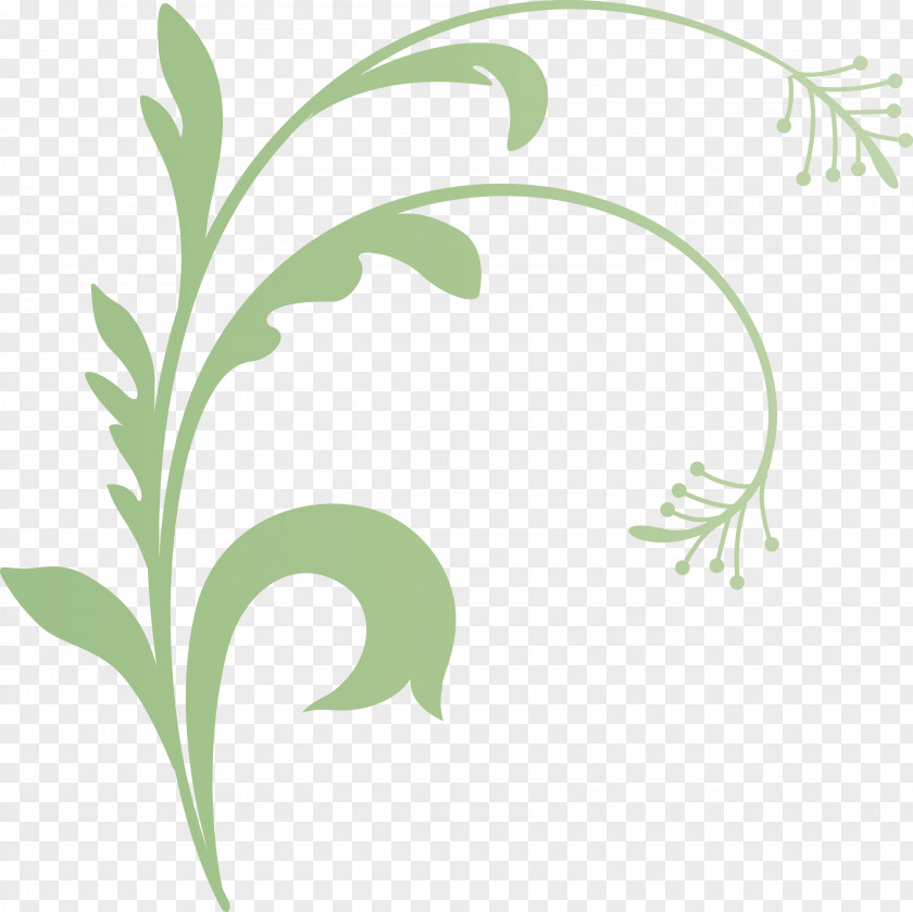 Flower Frame Decoration Floral PNG