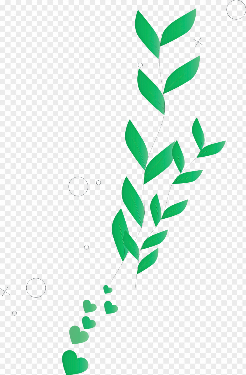Leaf Plant Stem Logo Color Flower PNG