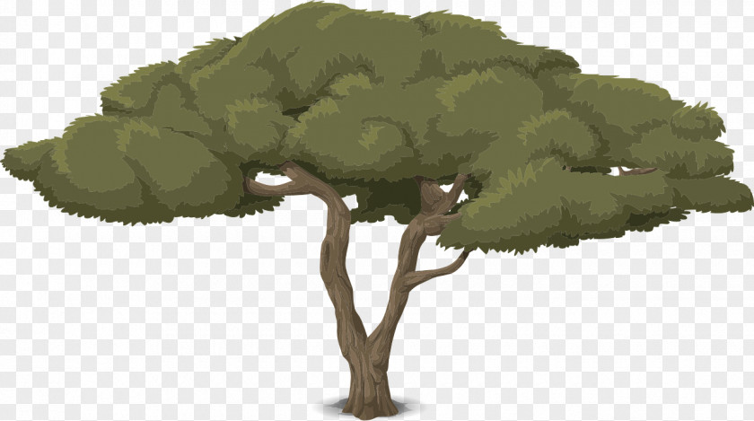 Tree Branch Animaatio Cartoon PNG