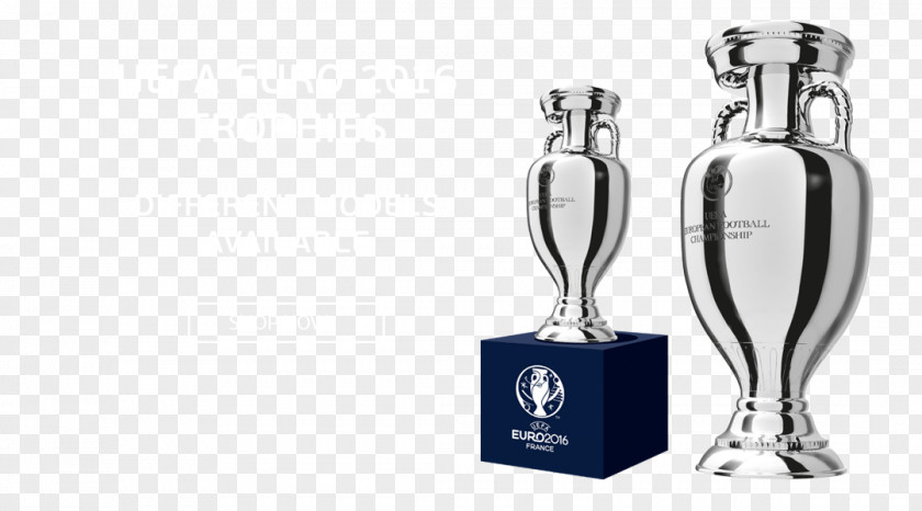 UEFA Euro 2016 Made In Sport Trophy The European Football Championship PNG