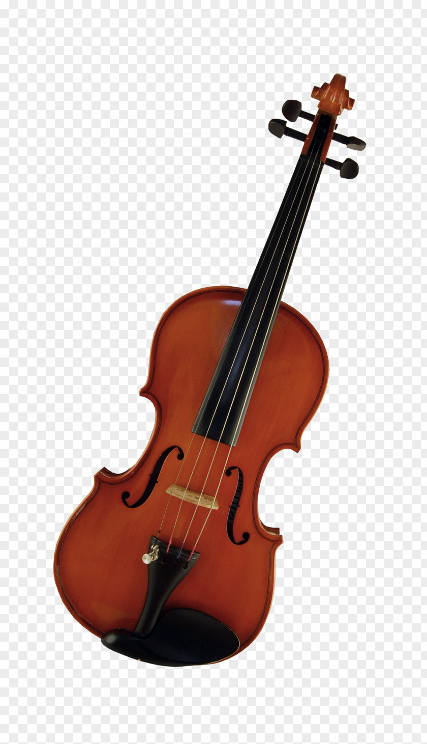 Violin String Instrument Musical Tuning Peg PNG
