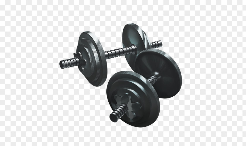 Bodybuilding Exercise Equipment Weight Training Physical Fitness Centre PNG