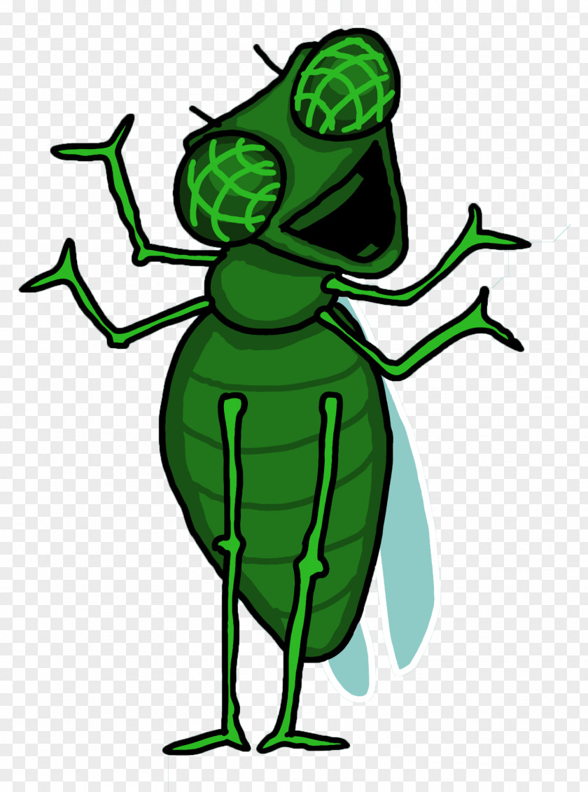 Insect Line Art Cartoon Clip PNG