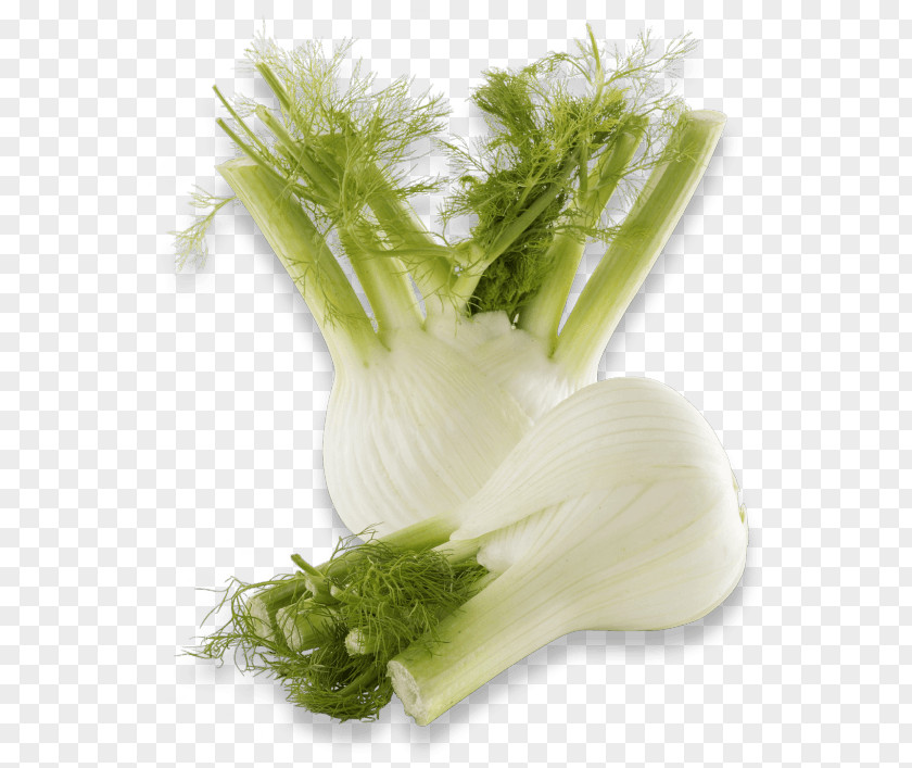 Vegetable Fennel Parsley Roots Fruit Greens PNG