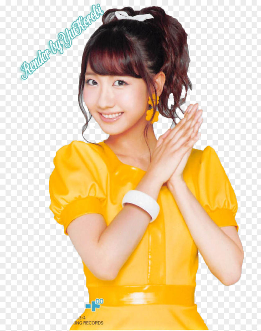 Akb48 Kamikyokutachi Yuki Kashiwagi AKB48 Kokoro No Placard Labrador Retriever HKT48 PNG