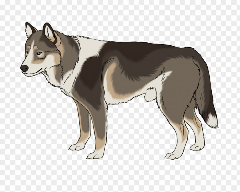 Angry Dog Saarloos Wolfdog Siberian Husky East Laika Czechoslovakian West PNG