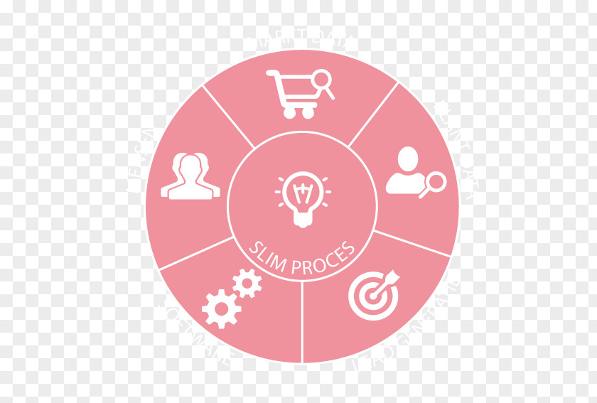 Cirkel Pie Chart Percentage Wheel Fraction PNG