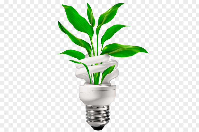 Energy Conservation Electricity Clip Art PNG