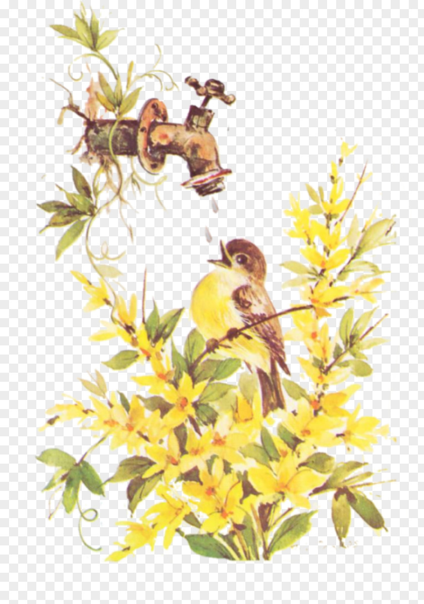 Perroquet Floral Design Flowering Plant Illustration PNG
