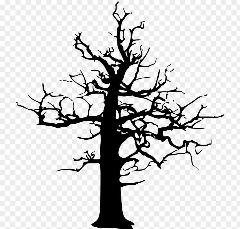 Tree Drawing Clip Art PNG