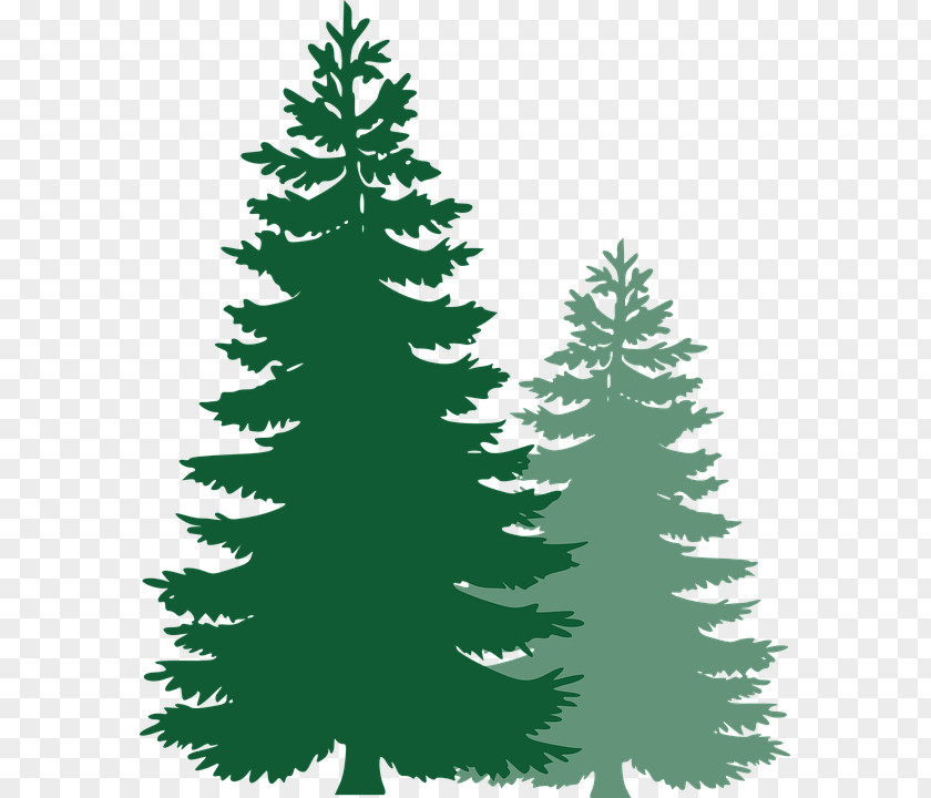 Tree Pine Clip Art PNG