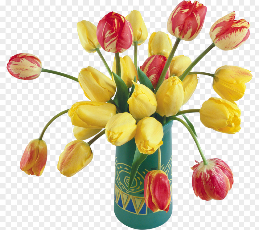 Tulip Flower Happiness Blessing Clip Art PNG