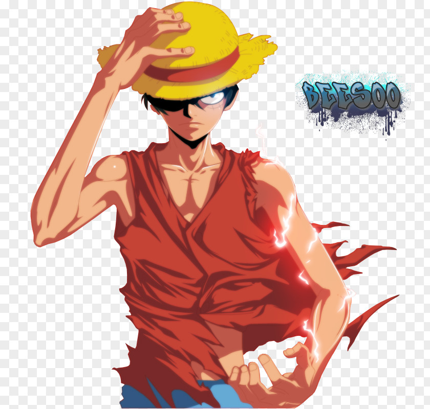 One Piece Monkey D. Luffy Portgas Ace Animation PNG