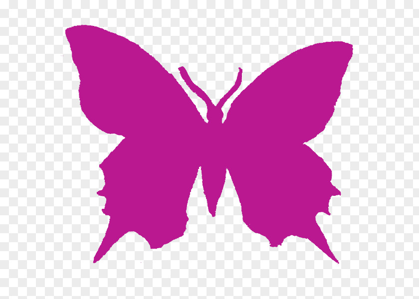 Pink Butterfly Purple Clip Art PNG