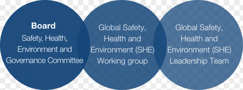 Safety Health And Environment Occupational Senior Management IPCS Guide PNG