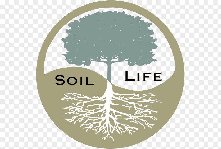 SOIL Soil Fertilisers Chemistry Chemical Substance Pollution PNG