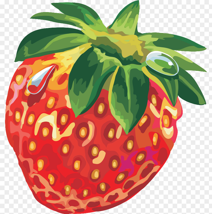 Strawberry Drawing PNG