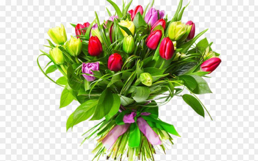 Bouquet Flower Tulip Transvaal Daisy Floristry PNG