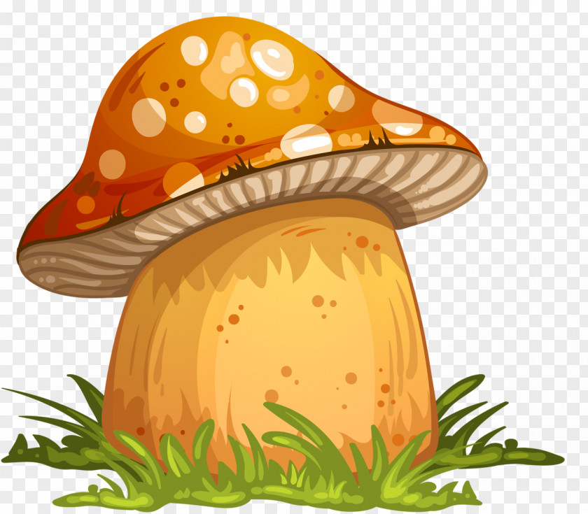 Mushroom Vector Graphics Clip Art Stock Photography Illustration Edible PNG