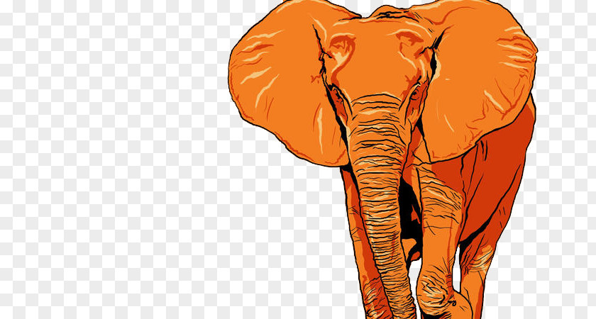 Orange Elephant Adobe Illustrator Graphic Design 4K Resolution Wallpaper PNG