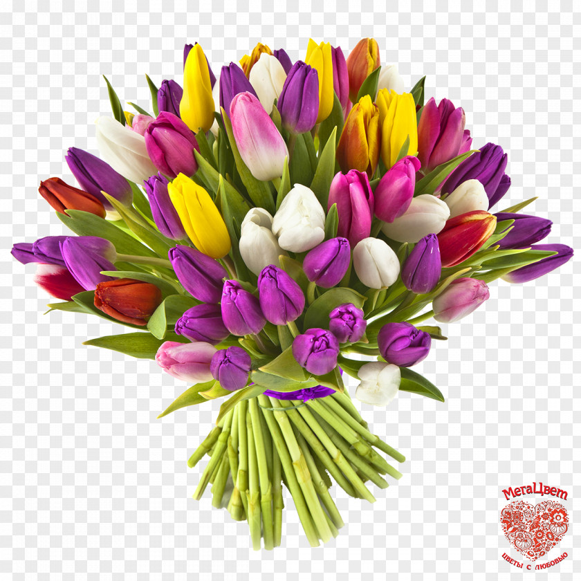 Tulip Flower Bouquet Gift Floristry PNG