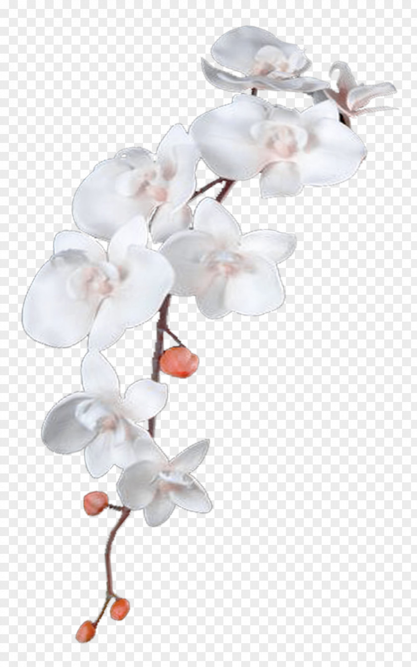 White Flowers Flower DeviantArt Heavenly Healing Hands PNG