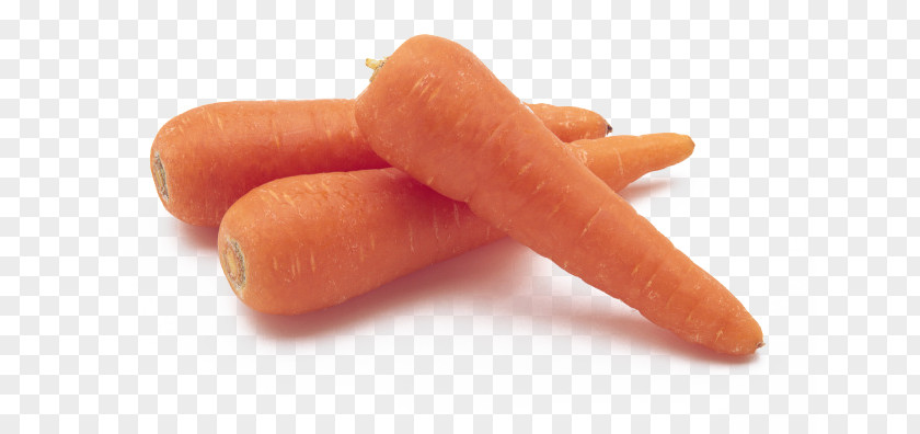 Carrot Sign Baby Vegetable Food PNG