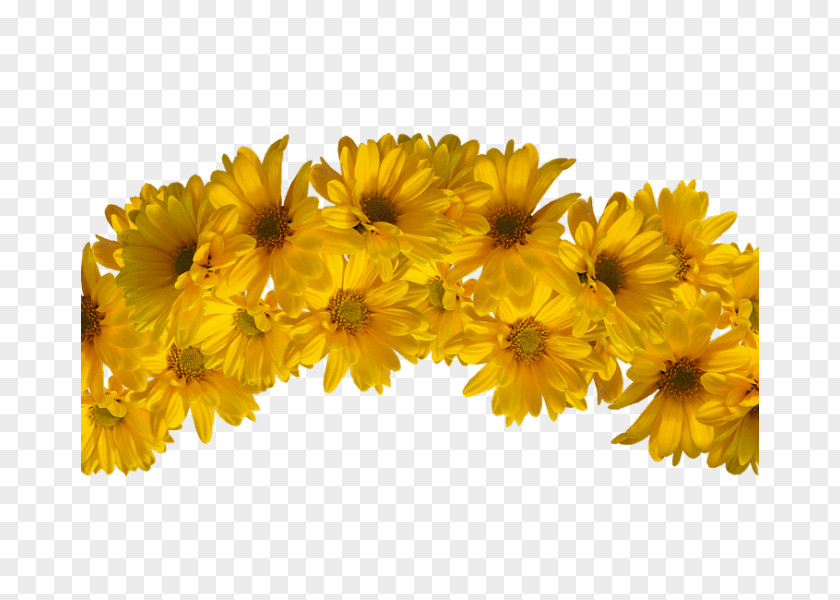 Flower Yellow Wreath Crown Headpiece PNG