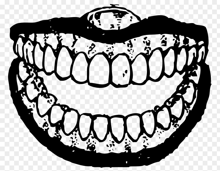 Tooth Vector Human Smile Clip Art PNG