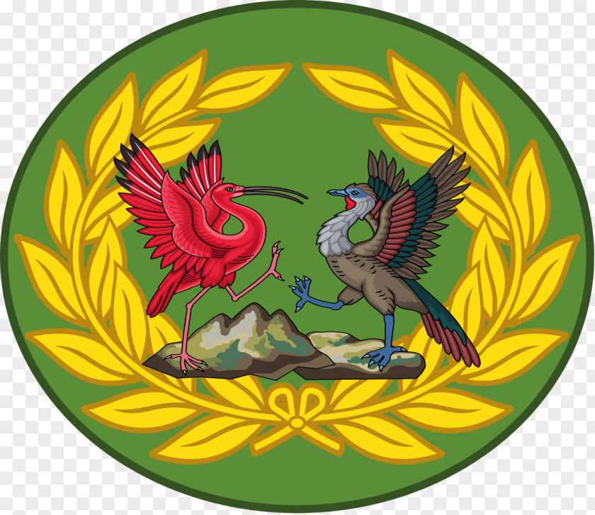 Army Zambian Air Force Military PNG