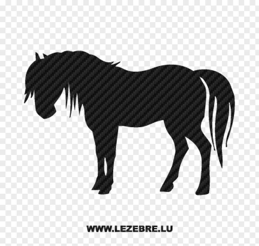 Horse Western Pony Vector Graphics Arabian Equestrian Horses & Ponies PNG