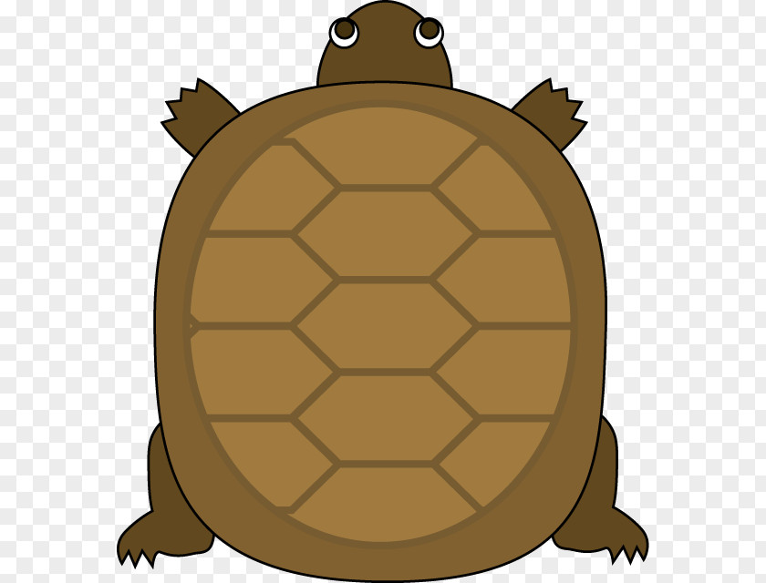 Tortoide Turtle Reptile The Tortoise And Hare Clip Art PNG