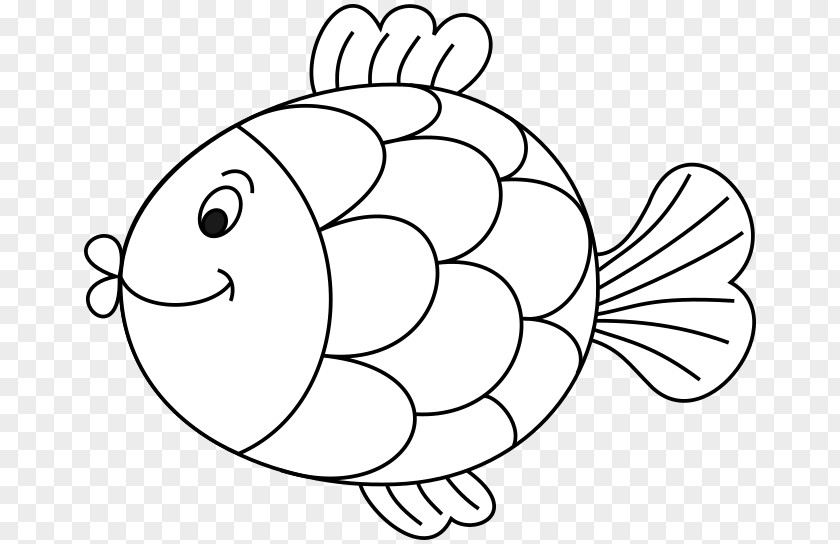 Aquatic Fish Drawing Clip Art PNG