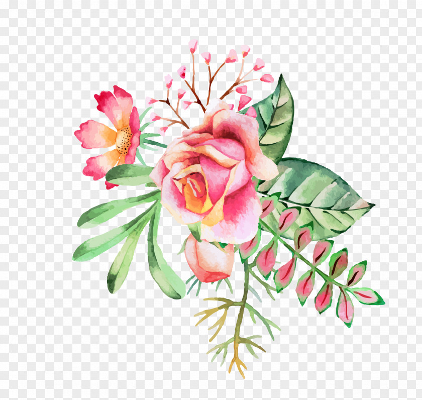Astrantia Major Watercolor: Flowers Watercolor Painting Floral Design Clip Art PNG