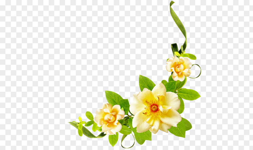 Flower Floral Design PNG