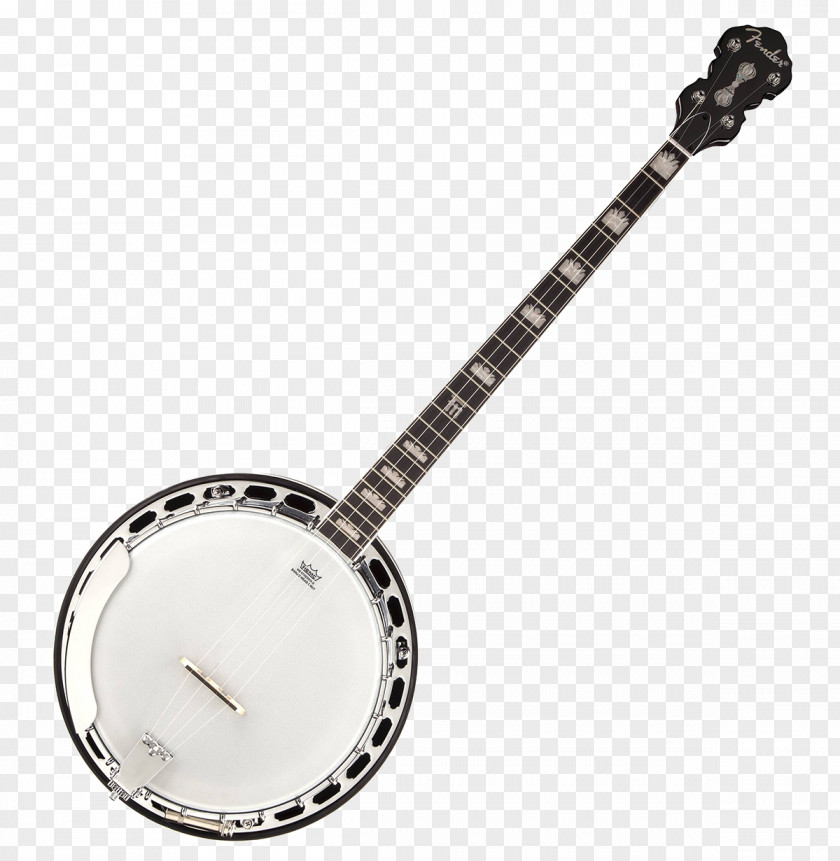 Guitar Banjo Uke String Instruments PNG