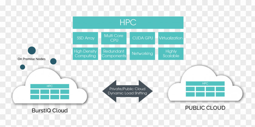 Highperformance Computing Danea: Ginekolog, Urolog, Dermatolog, Neurolog, Endokrynolog Bielsko-Biała Medicine Dentistry Face PNG