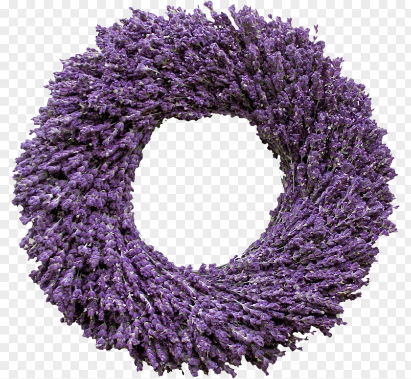 Lavanda English Lavender French Wreath Flower PNG